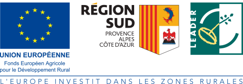 Leader région euro