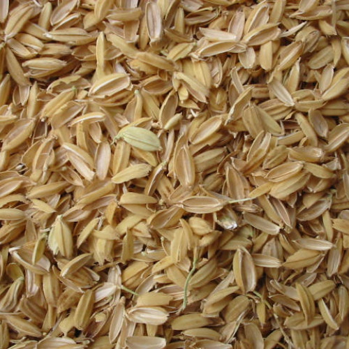 Balle de riz